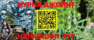 молекула духа Будённовск