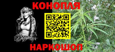 молекула духа Будённовск