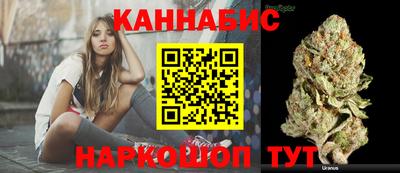 молекула духа Будённовск