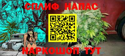 молекула духа Будённовск
